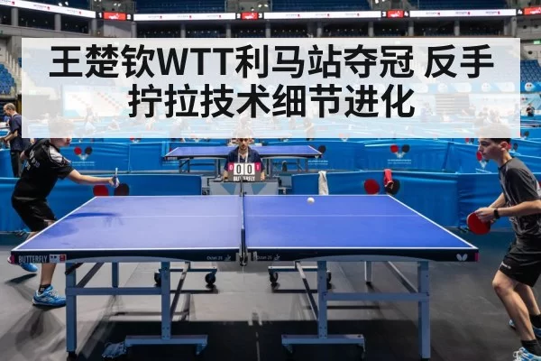 professional table tennis match
